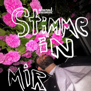stimme in mir by nimand