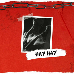 hay hay hay by yo soy el mudo