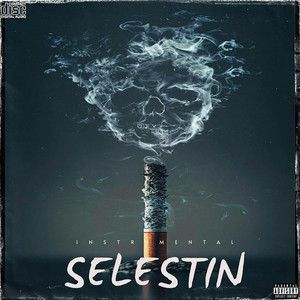 Selestin - Instrumental by 2 Face Prod