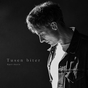 Tusen biter by Bjørn Henrik Brandtenborg