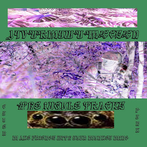 J4vurmywumccscnm - Outro of the Jungle