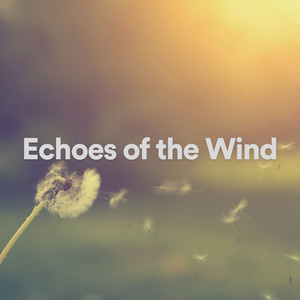 Echoes of the Wind album