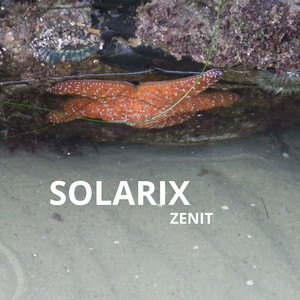 Solarix by Zenit