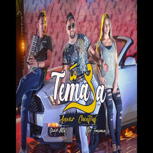 Tema3a