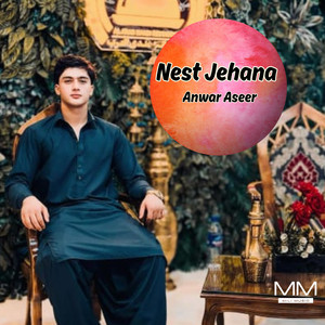 Anwar Aseer - Nest Jehana
