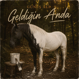Geldiğin Anda by Güneş Alp