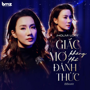 Giấc Mơ Không Thể Đánh Thức (Holmi Lofi)