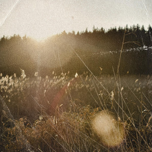 Daydream by YU.NA