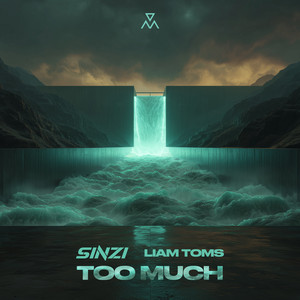 Too Much by Sinzi, Liam Toms