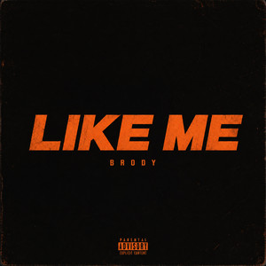 Like Me by Brody