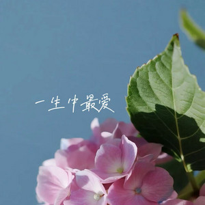一生中最爱 by 林诗曼