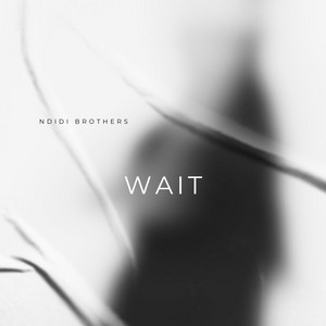 Wait by Ndidi Brothers