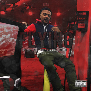Portada de Flying