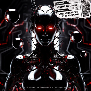 Welcome to the Future (Radio Edit)