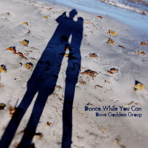 Dance While You Can - Acoustic Version by Dave Goddess Group