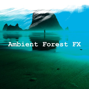 Ambient Forest FX