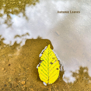 Autumn Leaves by Marlowe Moss