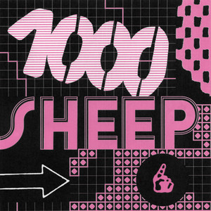 1000 Sheep by Anna Erhard