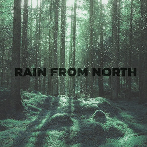 Soft Rain On Leafs by Nordic Ambient