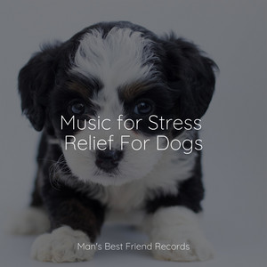 Music for Stress Relief For Dogs album
