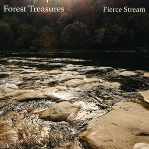Stream after Rainfall by Forest Treasures