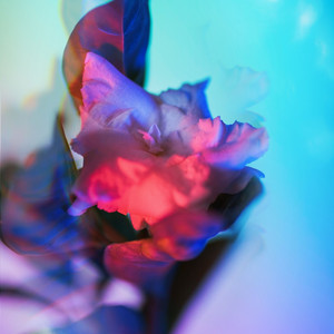 me quedare by chris siete