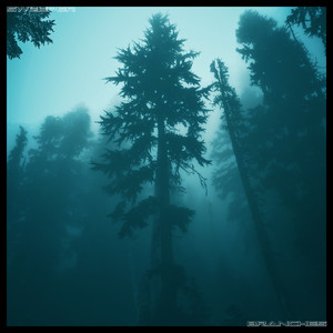 Branches by Sweeper