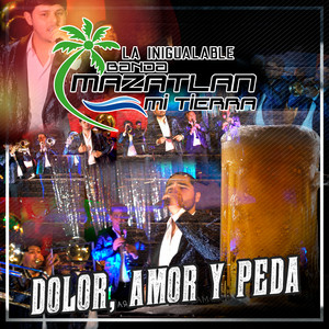 LA INIGUALABLE BANDA MAZATLAN mi TIERRA - Paz En Este Amor (En Vivo)