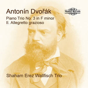 Piano Trio No. 3, Op. 65: II. Allegretto grazioso — Antonín Dvořák