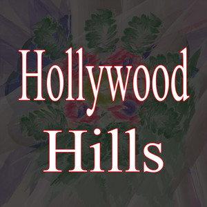 Hollywood Hills by Music of Sunset