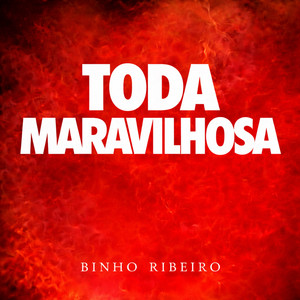 Toda Maravilhosa by Binho Ribeiro