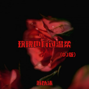 玫瑰也有过温柔 - Dj版 by 苏以沫