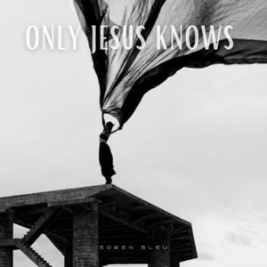 Never the Same by Soren Bleu
