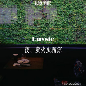 《Luvsic 》X 《夜、萤火虫和你》 (雨声新编版) by 锦鲤音乐