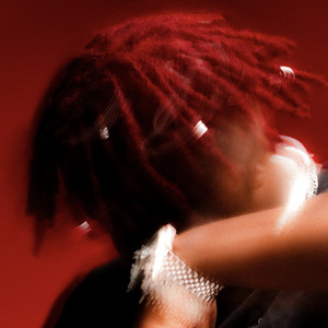 BLOODS by CHAKA