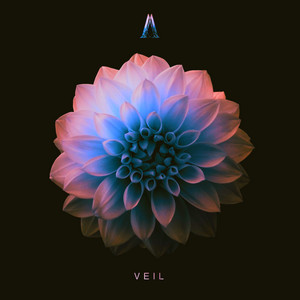 Veil by Adenel, Lorelei Sky