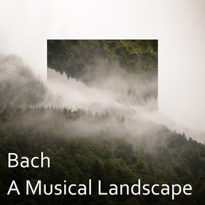 Bach: A Musical Landscape album