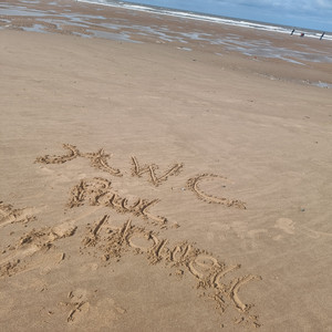 handle with care paul howell - Love at First Sight