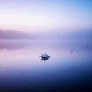 Serenity Y by Tetela