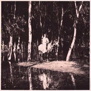 Soft Spoken Woman by Daniel ve Jacobi, Guy King