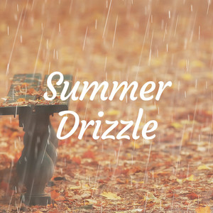 Summer Drizzle album