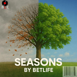 https://betsafepl.org/
