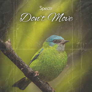 Don’t Move - Radio edit by Spectr