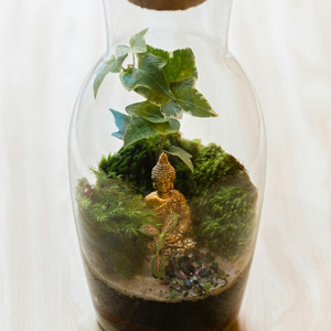 TRILLBILL - Didn't Cha Know Smooth