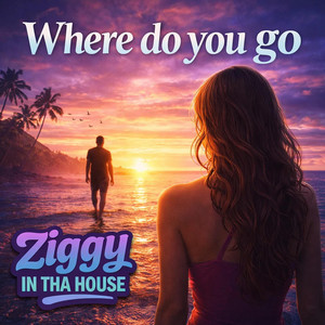 Where do you go by Ziggy in tha House