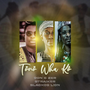 Tönö Wha Kô by Don S-Zeer, Straiker, Blackos Lion