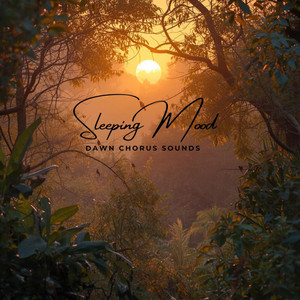 Calming Dawn Chorus Sounds for Sleeping Mood by Mosalu