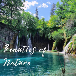 Beauties of Nature album