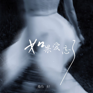 如果爱忘了 (cover: 爱小城) by 毒药, 61