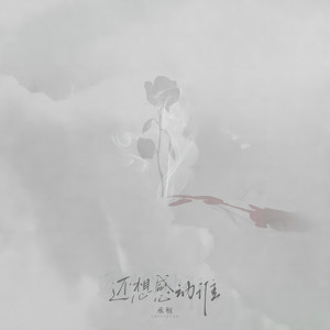 还想感动谁 Song And Lyrics By 承桓 Spotify